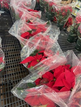 Christmas floral with flair
